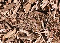 wood chips