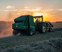 agricultiure